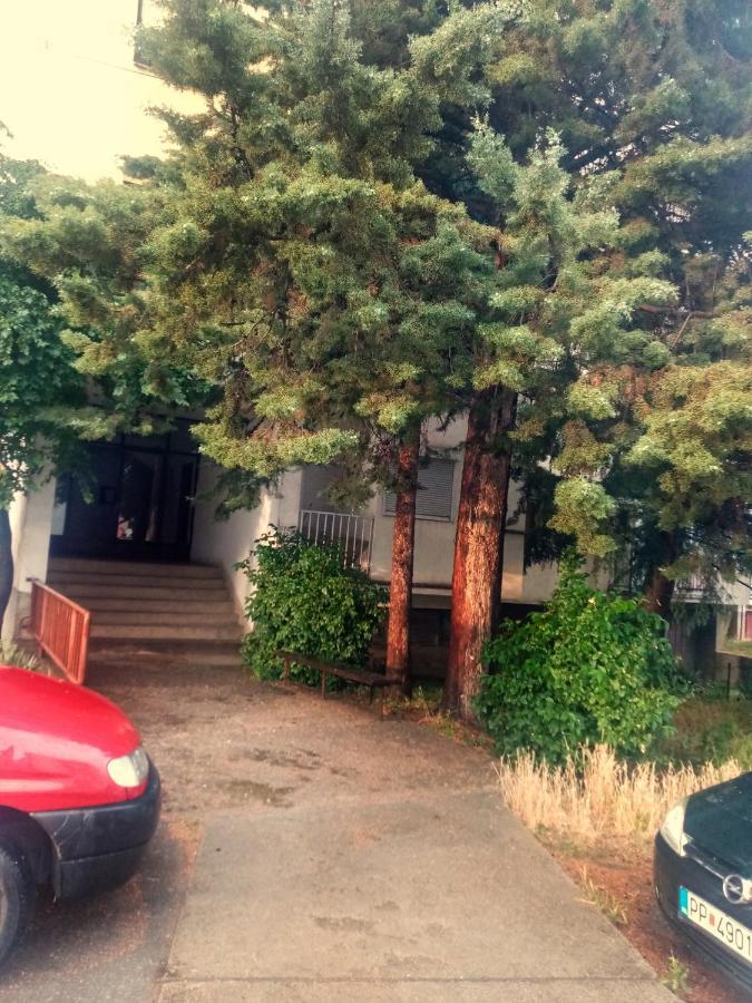Nadia Apartment Ohrid With Lake View 外观 照片